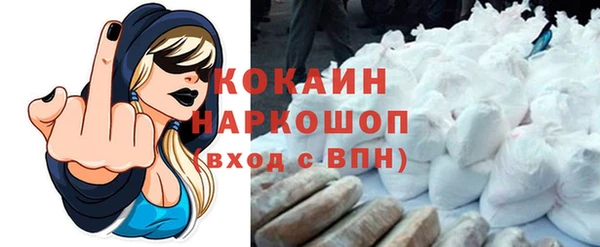 соль ск Алзамай