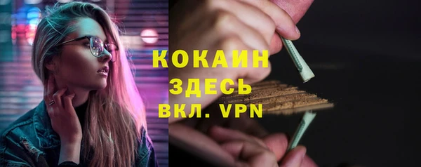индика Пролетарск