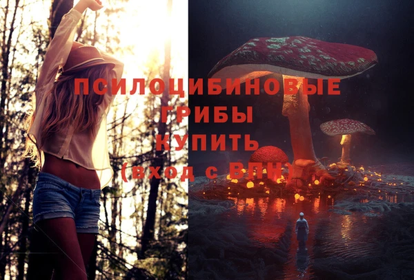 амф Приозерск