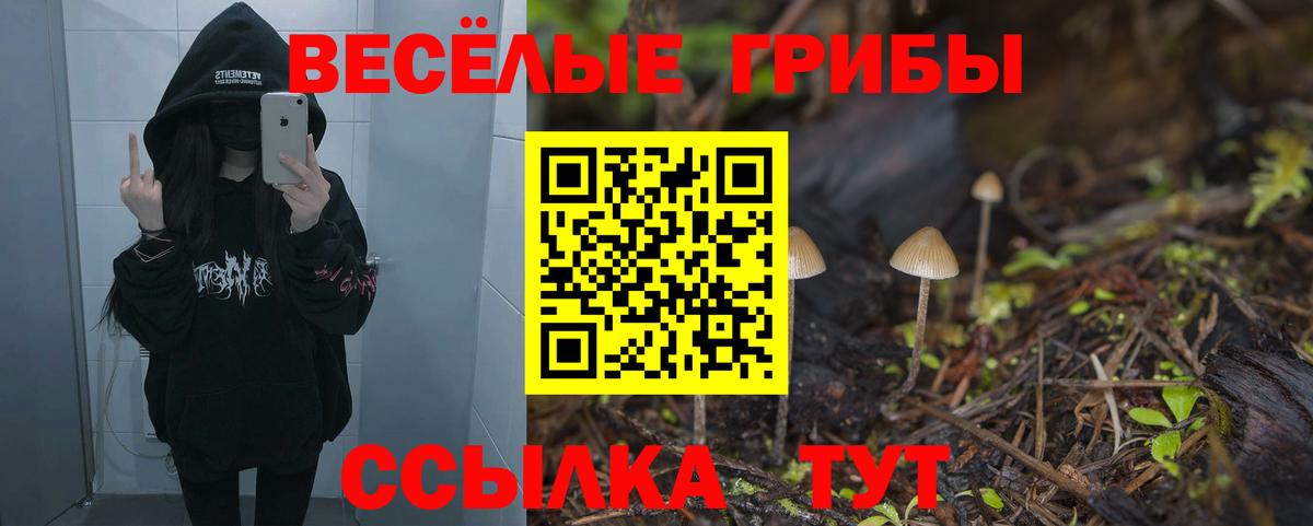 Псилоцибиновые грибы Psilocybe  купить наркотики цена  Ейск  Вход с VPN 